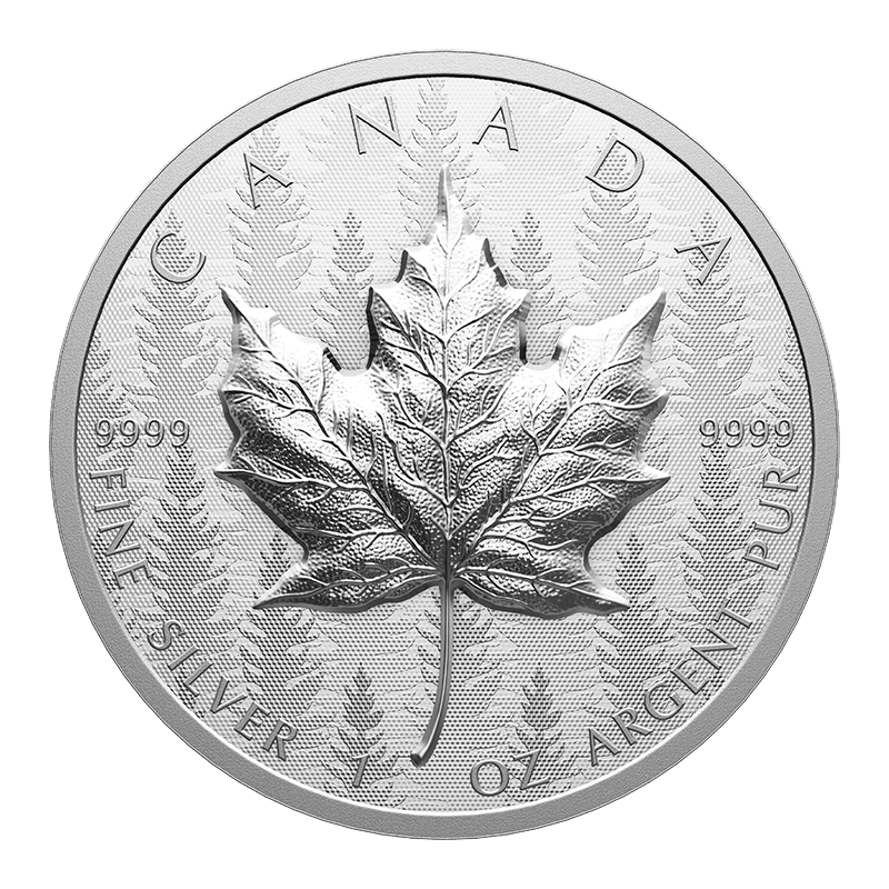 Image pour Pièce de 20 $ en argent pur – FÉA de 1 oz à très haut relief (2024) à partir de Métaux précieux TD